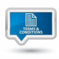 Terms and Conditions